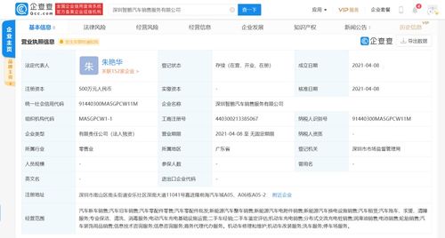 商務(wù)信息咨詢(xún) 企業(yè)決策的智慧引擎與商業(yè)成功的導(dǎo)航者