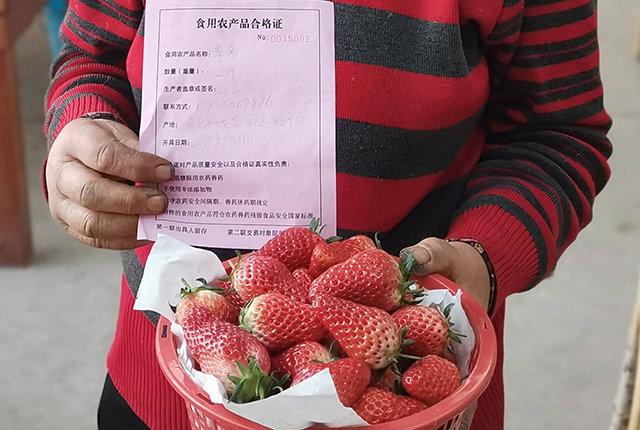 食用農(nóng)產(chǎn)品合格證試行 農(nóng)產(chǎn)品有了